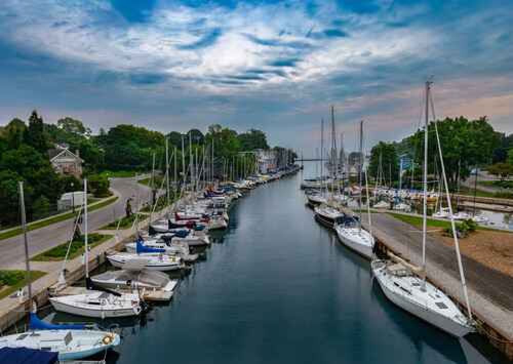 Oakville Real Estate - Ali Salarian, Broker of Record